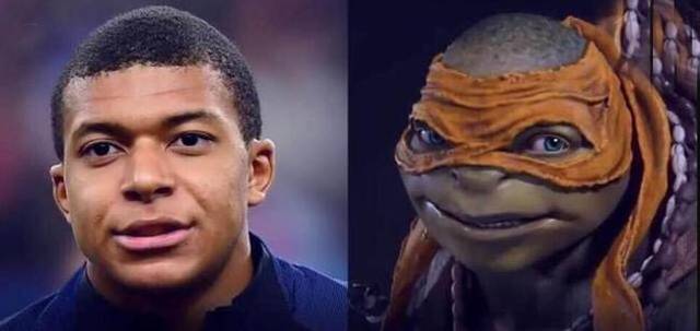 密度上来 密度上来