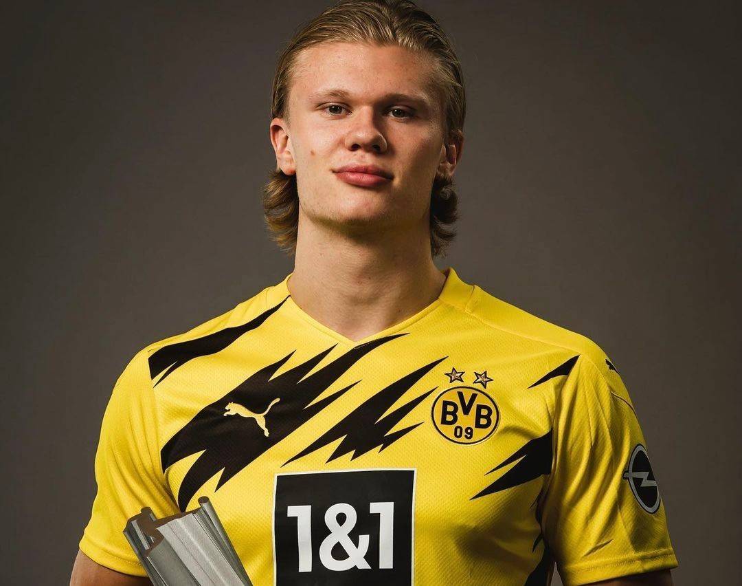 每张牌的决 每张牌的决