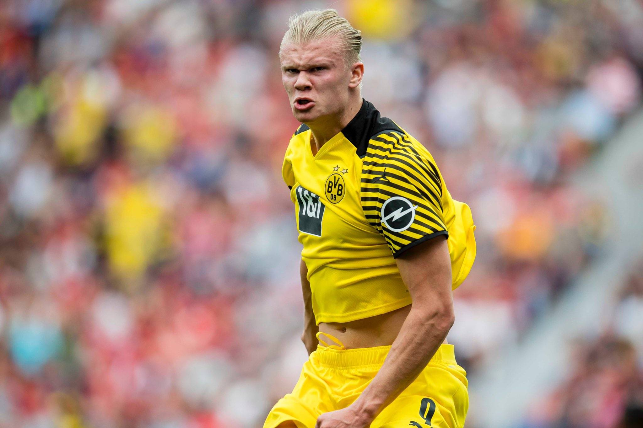 这粒进球证 这粒进球证